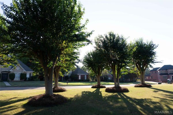 7167 Wyngrove Drive