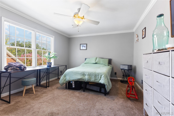 3169 Malone Drive