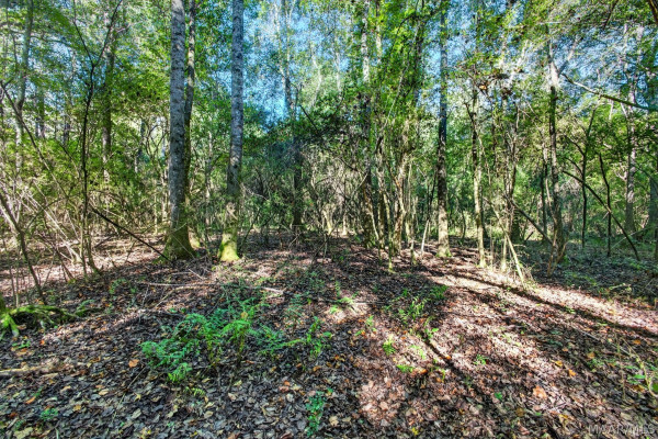 764 Racetrack Road