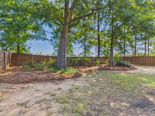 9937 Turtle River Road